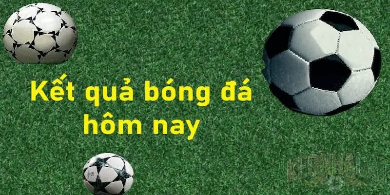 Kết quả bóng đá Các chỉ số cần quan tâm khi theo dõi kết quả bóng đá