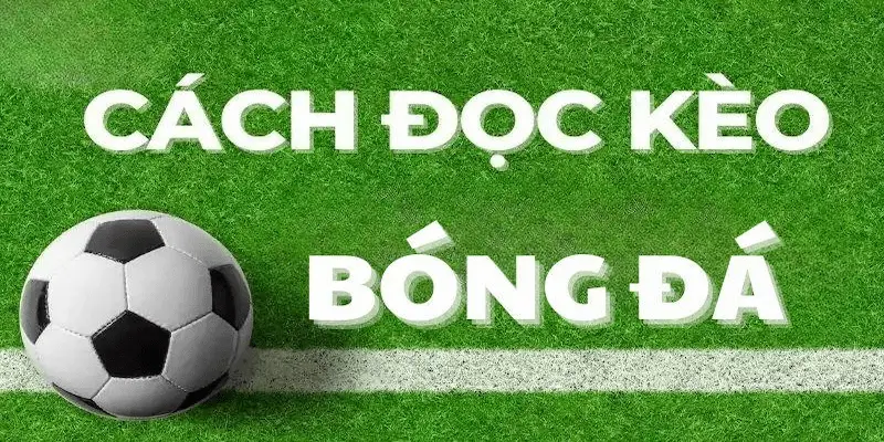 Cách đọc kèo bóng đá Các loại kèo phổ biến và cách đọc kèo bóng đá chính xác