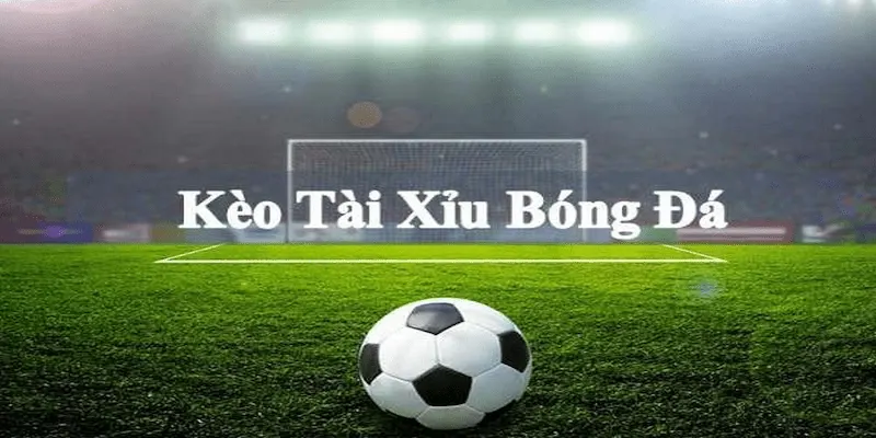 Kèo tài xỉu 0.25 Các yếu tố ảnh hưởng đến quyết định đặt kèo tài xỉu 0.25