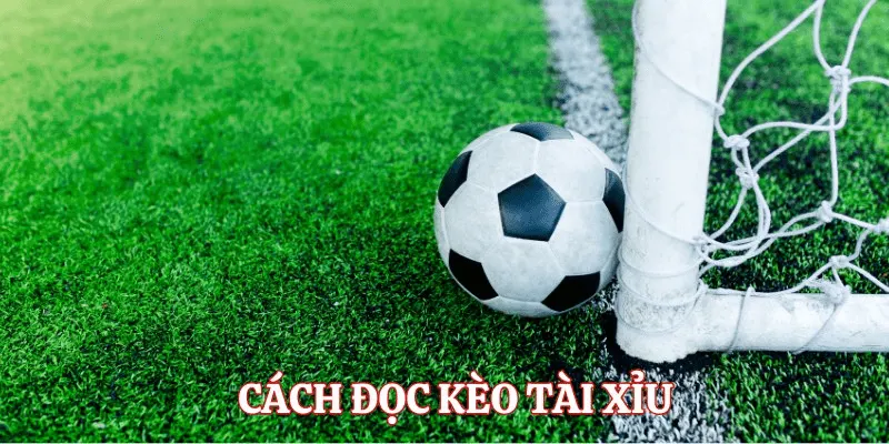 Kèo tài xỉu 0.25 Chiến thuật chọn cửa khi chơi kèo tài xỉu 0.25
