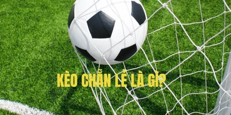 Mẹo bắt kèo chẵn lẻ giúp tăng tỷ lệ thắng