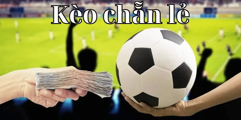 Phân loại kèo chẵn lẻ và cách đặt cược hiệu quả