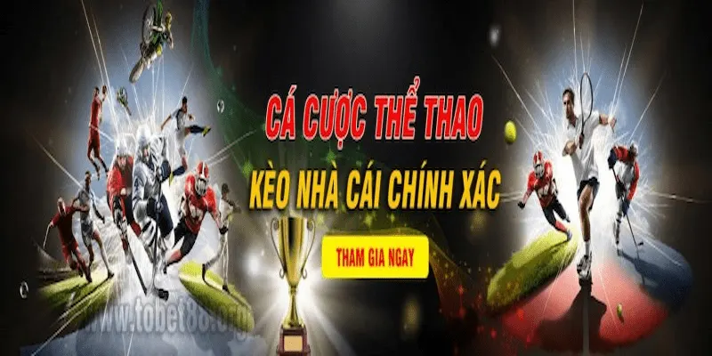 Tobet88 Tổng quan về Tobet88 và vị thế trong thị trường kèo nhà cái