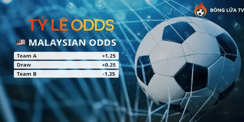 odds trong bóng đá là gì Vì sao cần hiểu rõ Odds trong bóng đá?
